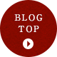 BLOG TOP